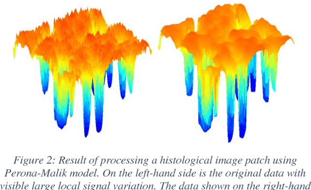 Figure 3 for Automatic Detection of Neurons in NeuN-stained Histological Images of Human Brain