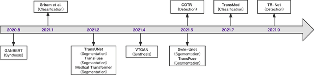 Figure 1 for Transformers in Medical Image Analysis: A Review