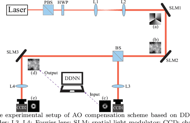 Figure 4 for Diffractive deep neural network based adaptive optics scheme for vortex beam in oceanic turbulence