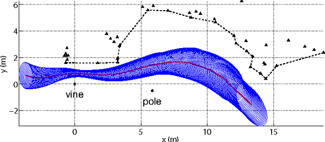 Figure 1 for Perception and Steering Control in Paired Bat Flight