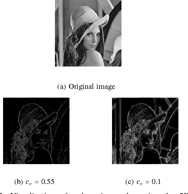 Figure 2 for Phase Congruency Parameter Optimization for Enhanced Detection of Image Features for both Natural and Medical Applications