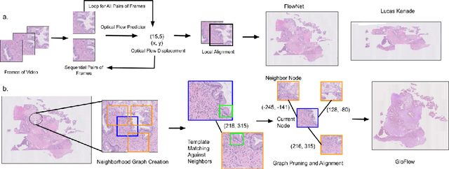 Figure 1 for GloFlow: Global Image Alignment for Creation of Whole Slide Images for Pathology from Video