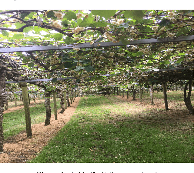 Figure 1 for Design of a sensing module for a kiwifruit flower pollinator robot