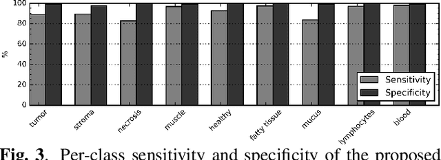 Figure 4 for The importance of stain normalization in colorectal tissue classification with convolutional networks