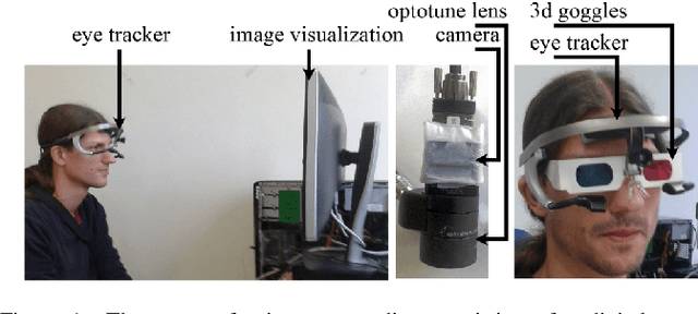 Figure 1 for Fast camera focus estimation for gaze-based focus control