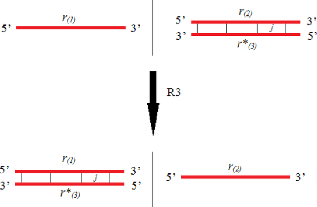 Figure 4 for Theorem Proving Based on Semantics of DNA Strand Graph