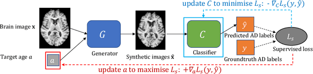 Figure 1 for Adversarial Counterfactual Augmentation: Application in Alzheimer's Disease Classification