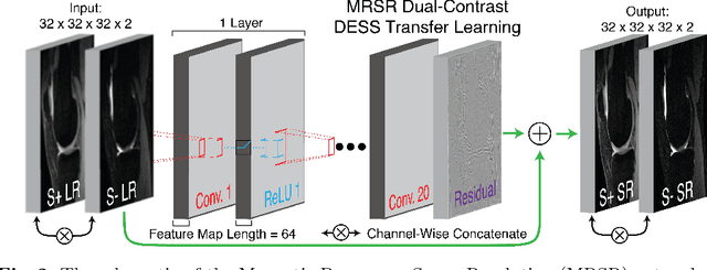 Figure 3 for Deep Learning Super-Resolution Enables Rapid Simultaneous Morphological and Quantitative Magnetic Resonance Imaging