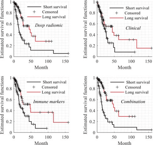 Figure 4 for Modeling of Textures to Predict Immune Cell Status and Survival of Brain Tumour Patients