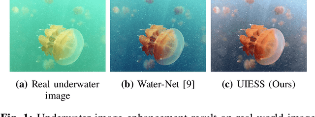 Figure 1 for Domain Adaptation for Underwater Image Enhancement via Content and Style Separation