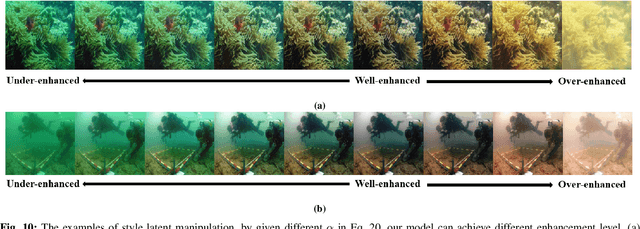 Figure 2 for Domain Adaptation for Underwater Image Enhancement via Content and Style Separation