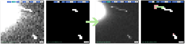 Figure 2 for Interactive Segmentation and Visualization for Tiny Objects in Multi-megapixel Images