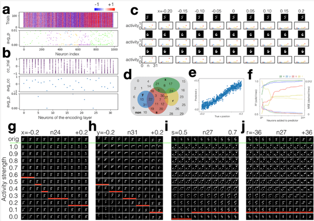 Figure 2 for Visualizing and Understanding Vision System
