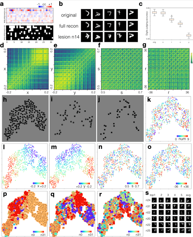 Figure 3 for Visualizing and Understanding Vision System