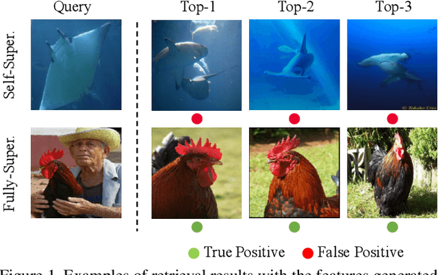 Figure 2 for Can Semantic Labels Assist Self-Supervised Visual Representation Learning?