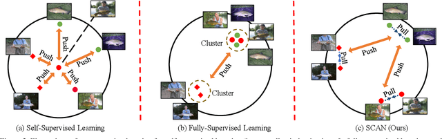 Figure 3 for Can Semantic Labels Assist Self-Supervised Visual Representation Learning?