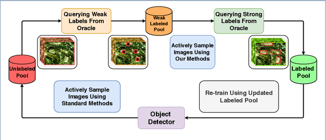Figure 3 for Active Learning with Weak Supervision for Cost-Effective Panicle Detection in Cereal Crops