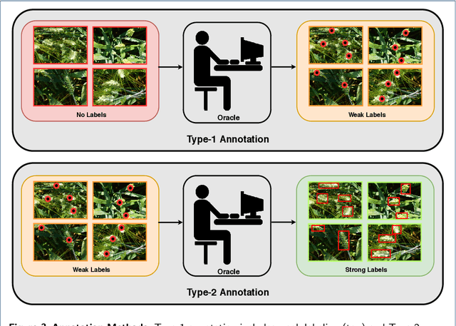 Figure 4 for Active Learning with Weak Supervision for Cost-Effective Panicle Detection in Cereal Crops