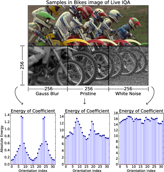 Figure 3 for Robust statistics and no-reference image quality assessment in Curvelet domain