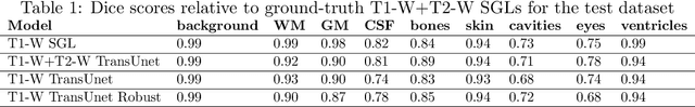 Figure 2 for Learning from imperfect training data using a robust loss function: application to brain image segmentation