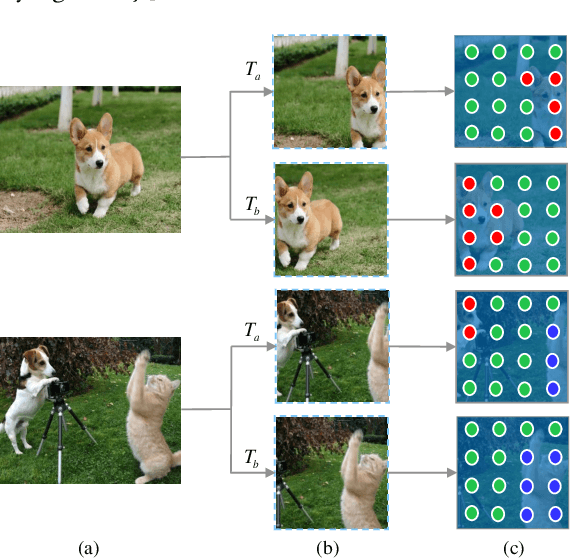 Figure 1 for Dense Semantic Contrast for Self-Supervised Visual Representation Learning