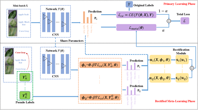 Figure 2 for Rectified Meta-Learning from Noisy Labels for Robust Image-based Plant Disease Diagnosis