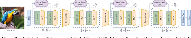 Figure 3 for Global Context Vision Transformers