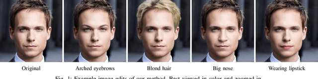 Figure 1 for High Resolution Face Editing with Masked GAN Latent Code Optimization