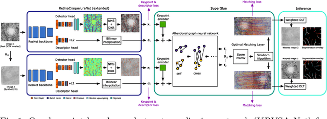 Figure 1 for Multi-modal Retinal Image Registration Using a Keypoint-Based Vessel Structure Aligning Network