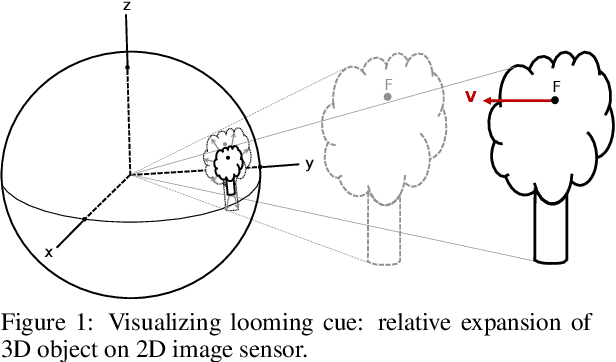 Figure 1 for Estimation of Looming from LiDAR