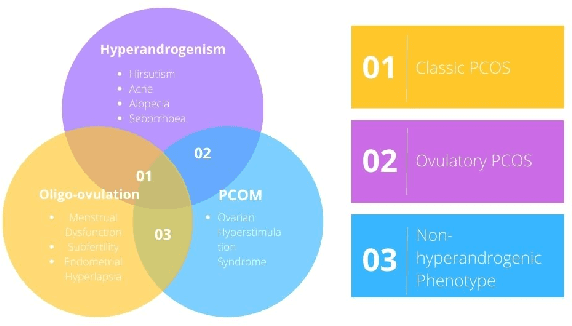 Figure 1 for PCONet: A Convolutional Neural Network Architecture to Detect Polycystic Ovary Syndrome (PCOS) from Ovarian Ultrasound Images