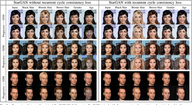 Figure 3 for A recurrent cycle consistency loss for progressive face-to-face synthesis