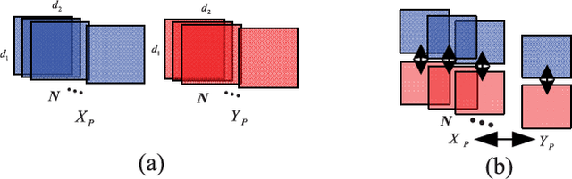 Figure 1 for A Complete Discriminative Tensor Representation Learning for Two-Dimensional Correlation Analysis