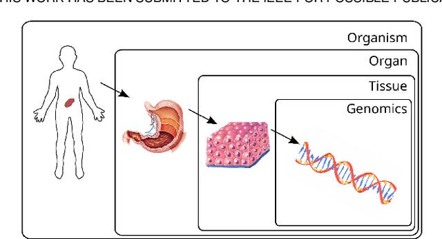 Figure 1 for Multi-modality fusion using canonical correlation analysis methods: Application in breast cancer survival prediction from histology and genomics
