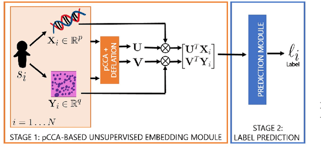 Figure 3 for Multi-modality fusion using canonical correlation analysis methods: Application in breast cancer survival prediction from histology and genomics