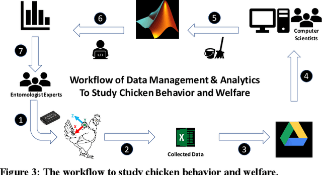 Figure 3 for Time Series Classification: Lessons Learned in the (Literal) Field while Studying Chicken Behavior