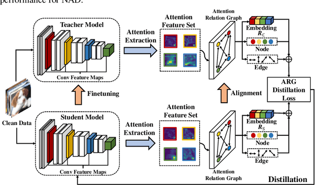 Figure 1 for Eliminating Backdoor Triggers for Deep Neural Networks Using Attention Relation Graph Distillation