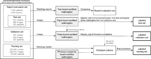 Figure 1 for Structured dataset documentation: a datasheet for CheXpert