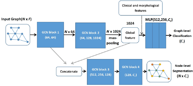 Figure 1 for Detecting intracranial aneurysm rupture from 3D surfaces using a novel GraphNet approach