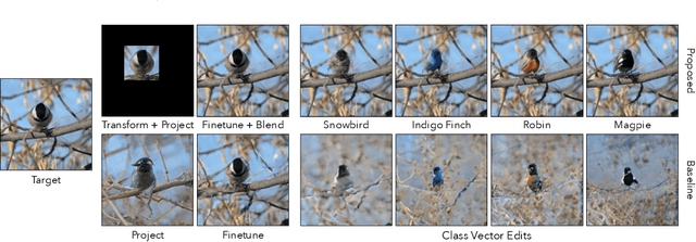 Figure 1 for Transforming and Projecting Images into Class-conditional Generative Networks