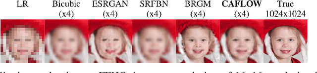 Figure 4 for CAFLOW: Conditional Autoregressive Flows