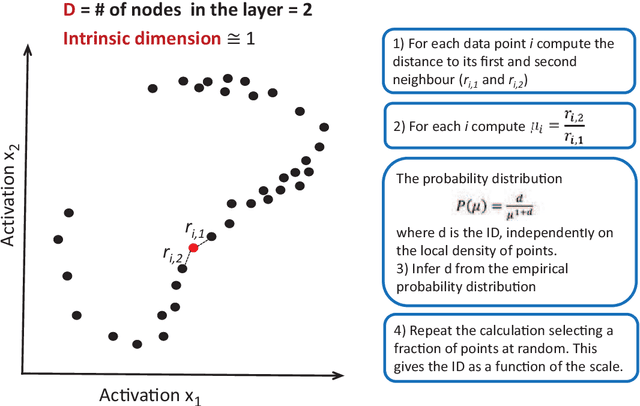 Figure 1 for Intrinsic dimension of data representations in deep neural networks