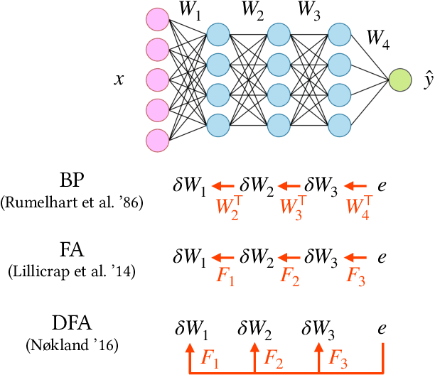 Figure 1 for The dynamics of learning with feedback alignment