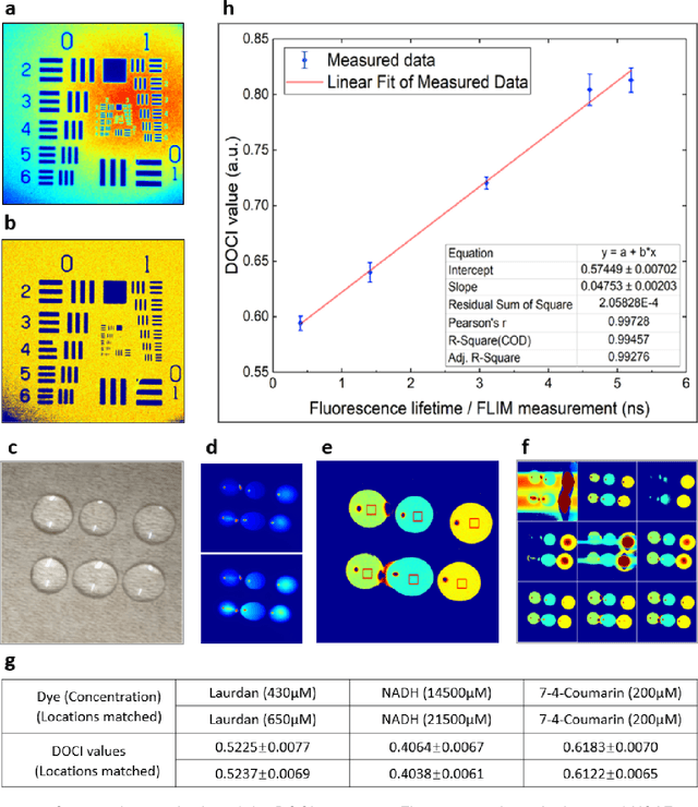 Figure 3 for Dynamic optical contrast imaging for real-time delineation of tumor resection margins using head and neck cancer as a model