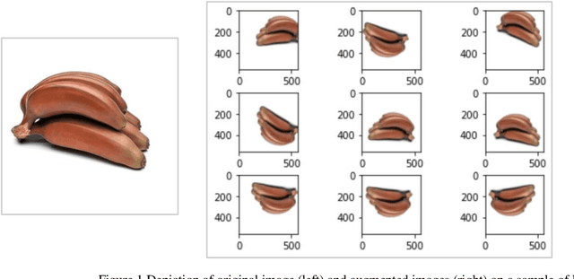 Figure 2 for Banana Sub-Family Classification and Quality Prediction using Computer Vision