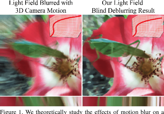 Figure 1 for Light Field Blind Motion Deblurring