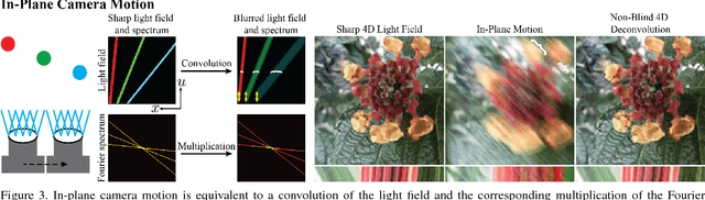 Figure 3 for Light Field Blind Motion Deblurring