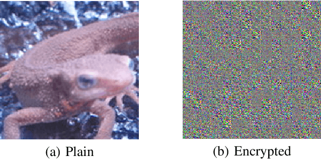 Figure 2 for Privacy-Preserving Image Classification Using ConvMixer with Adaptive Permutation Matrix