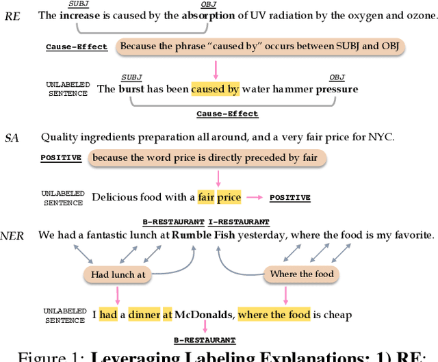 Figure 1 for LEAN-LIFE: A Label-Efficient Annotation Framework Towards Learning from Explanation