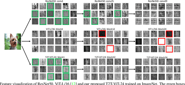 Figure 3 for Tokens-to-Token ViT: Training Vision Transformers from Scratch on ImageNet